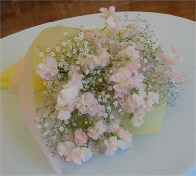 ����ԁ@���ԉԑ�/�ӂ�ӂ�X�C�[�g�s�[